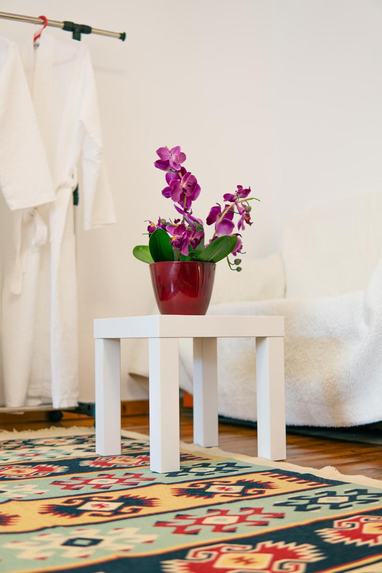 Apartamento Antigona *